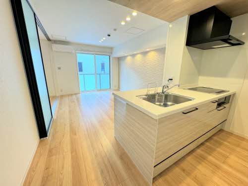 シャーメゾン　ルーエ 0103号-2