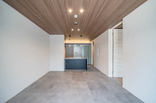 エル　シエロ 0101号-3