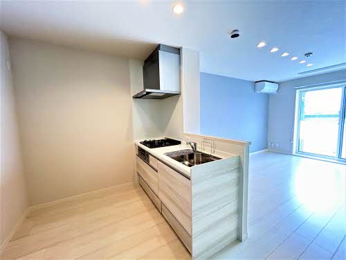 Ｓｈａ　Ｍａｉｓоｎ　新正 0201号-8