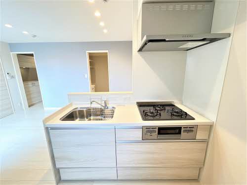 Sha Maisоn 新正 0205号-8