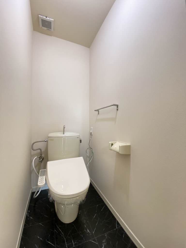 ＬＩＢＥＲＴＹ　ＩＷＡＭＯＴＯ B101号-10