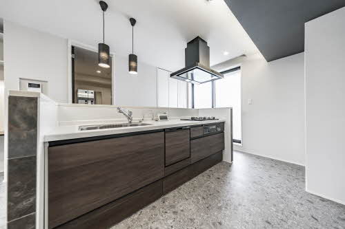 ＧＲＡＣＥ　ＣＡＭＥＬＬＩＡ（グレイス　カメリア） 0303号-6