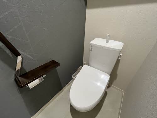 アウローラ 0203号-10