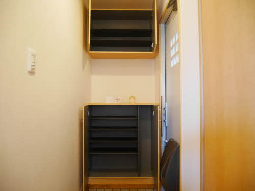 トルトゥーガ D101号-3