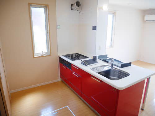 トルトゥーガ D101号-4