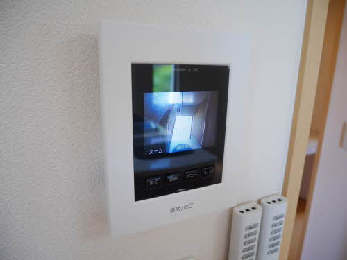 トルトゥーガ D101号-13