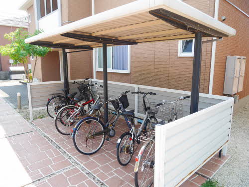 トルトゥーガ D101号-14