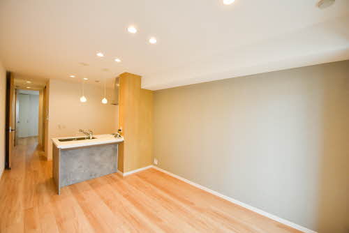 アイカ ルケア 0101号-3