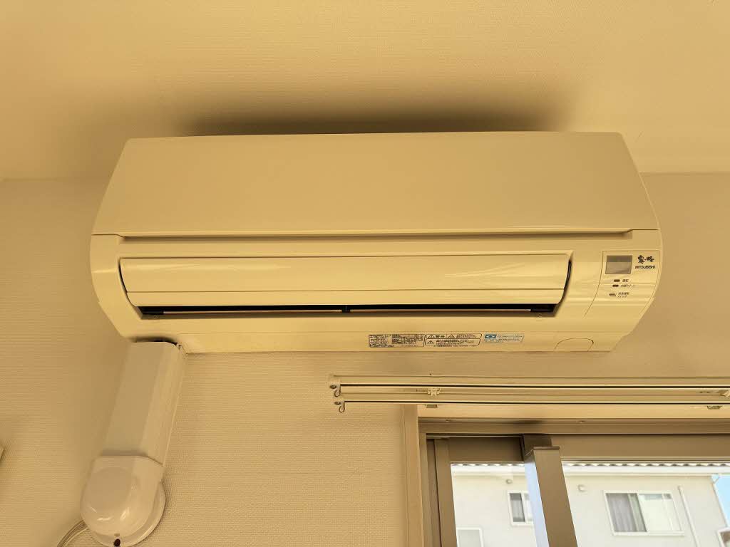 Ｒａｆｆｅｌｉａ 0103号-12