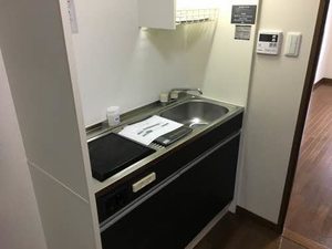 メゾンウィネッカ 0302号-4