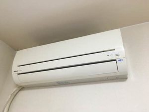 メゾンウィネッカ 0302号-10