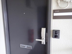 フェリスコート 0202号-3