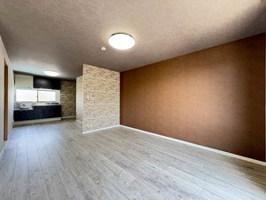 APニシワキ 0202号-14