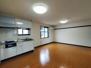 ビラヒスイ D101号-2