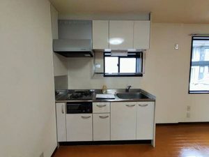 ビラヒスイ D101号-3