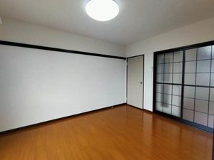 ビラヒスイ D101号-6