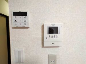 ビラヒスイ D101号-7