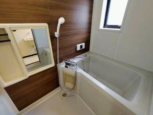 ビラヒスイ D101号-9