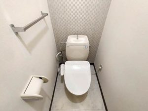 ビラヒスイ D101号-10