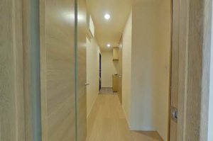 エバーグリーン A203号-8