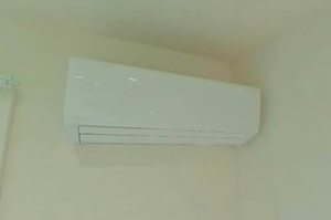 エバーグリーン A203号-9