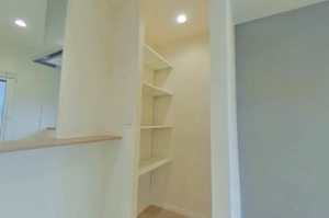 エバーグリーン A203号-10