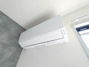 エバーグリーン B202号-8