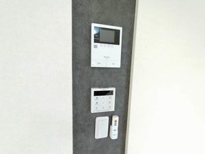 エバーグリーン B202号-9