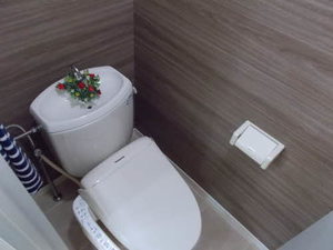 リンピア A103号-8