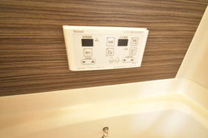 ＰａｓｓｉｏｎⅡ 0202号-10