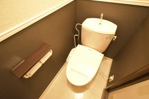 ＰａｓｓｉｏｎⅡ 0202号-11