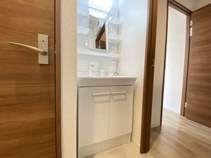 プランドール岩本 B101号-8