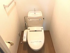 ぴゅあ　ぐり－んべーる B202号-11