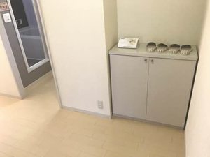 ぴゅあ　ぐり－んべーる C201号-12