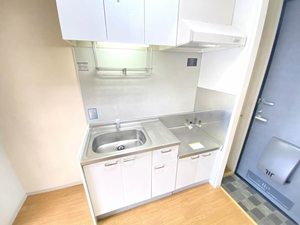 フレグランス勝山 0202号-3