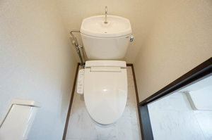 ＳＵＮ　ＥＬＭＯＺＡ 0201号-8