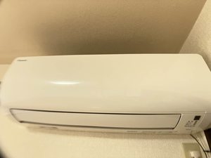 スリーゼｉオブラＣ 0202号-8