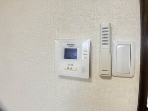 スリーゼｉオブラＣ 0202号-9