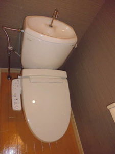 ドミール A101号-4