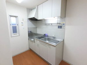 セントラルヒルズ 0202号-4