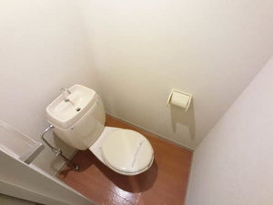 セントラルヒルズ 0202号-11