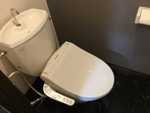 ライトウェル 0205号-5