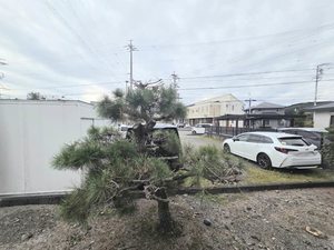 グリーンサイト B101号-13