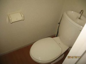 セフィラコート瑞穂 A203号-3