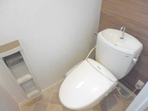 シャローグレイス C101号-11