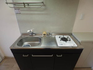 サンクレスト池場 0202号-9