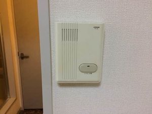 パストラル B101号-5