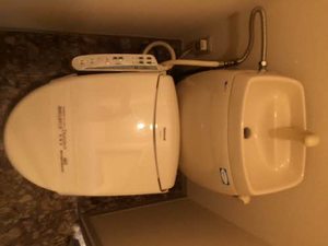 パストラル B101号-8