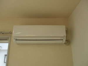 フローラルＥＳ 0102号-6