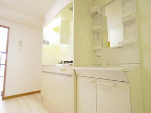 アメニティ堀越 0403号-4